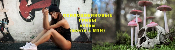 гашик Арсеньев