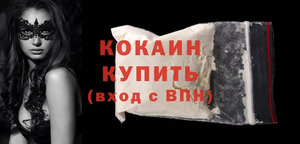 гашик Арсеньев