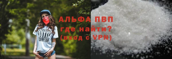 индика Сатка