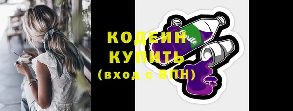 индика Сатка