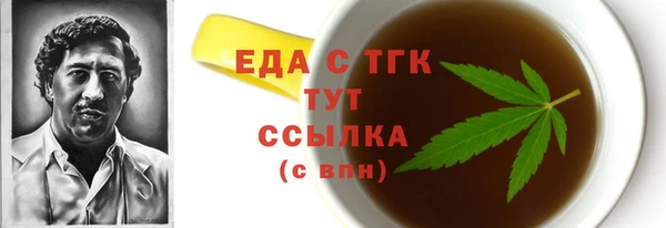 индика Сатка