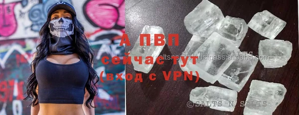 индика Сатка