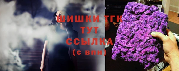 индика Сатка
